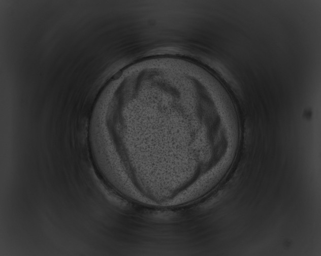 X0000091901233200710031155