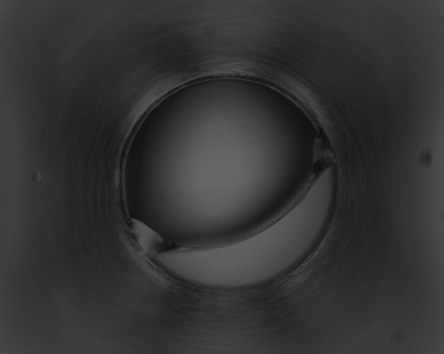 X0000091901234200710031155