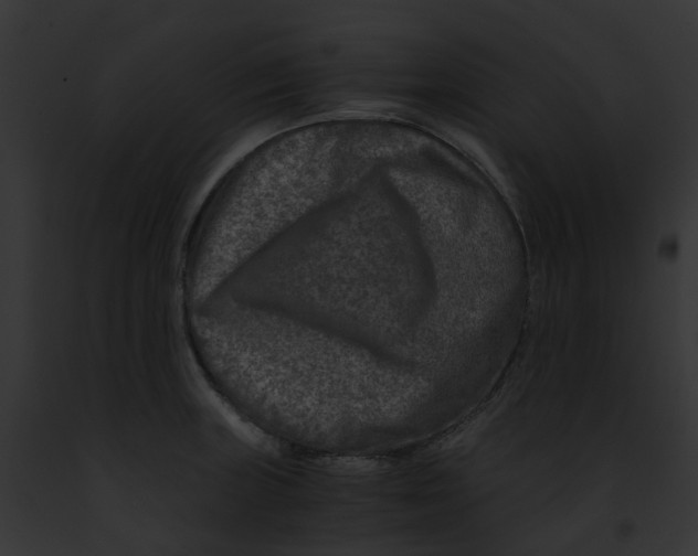 X0000091901235200710031155