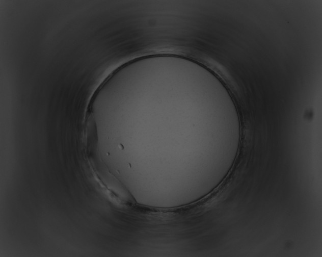 X0000091901236200710031155