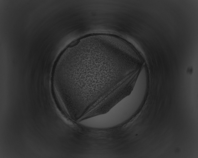 X0000091901237200710031155