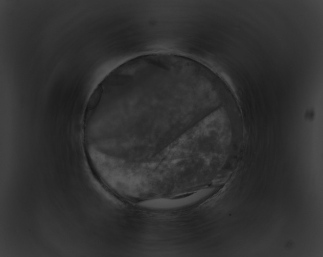 X0000091901239200710031155