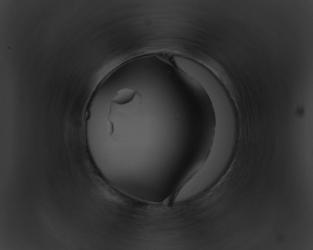 X0000091901242200710031155