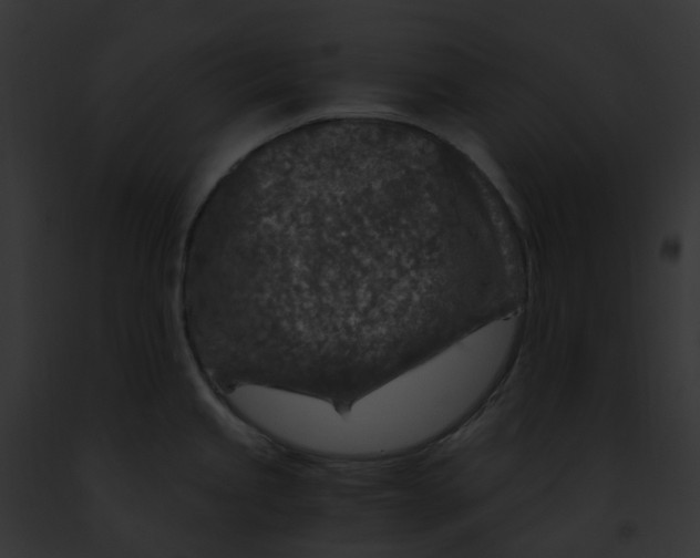 X0000091901245200710031155