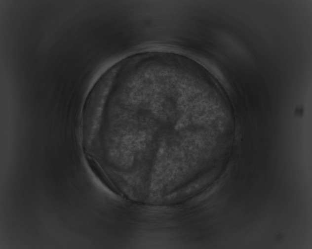 X0000091901247200710031155