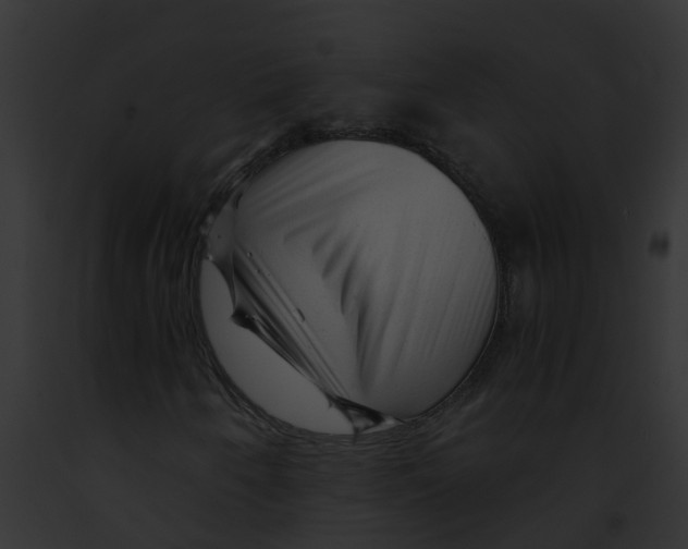 X0000091901250200710031155