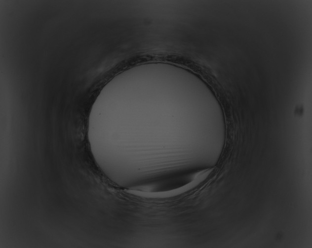 X0000091901253200710031155