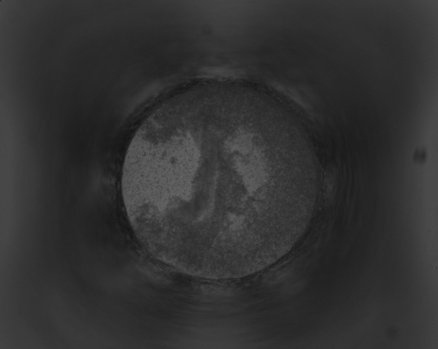 X0000091901254200710031155