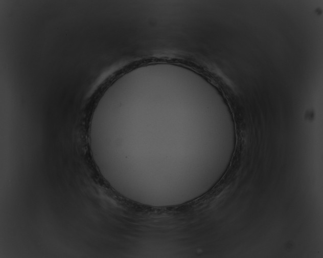 X0000091901256200710031155