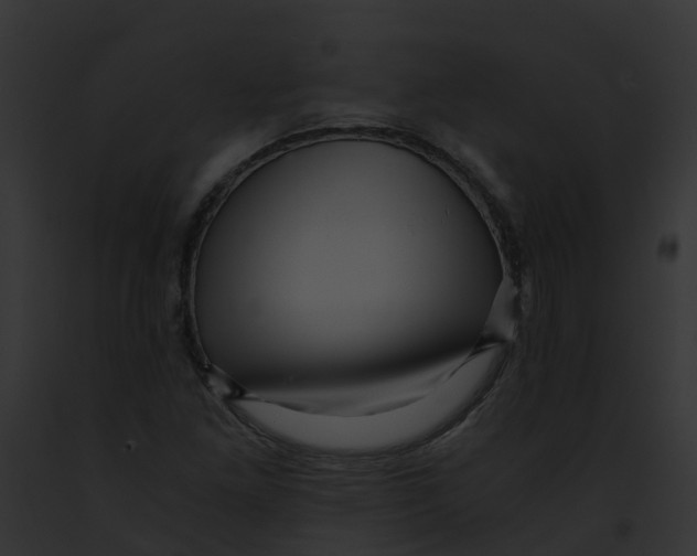 X0000091901261200710031155