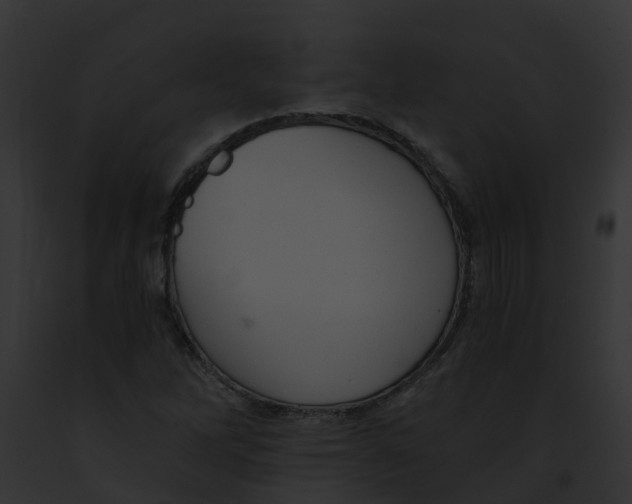 X0000091901262200710031155