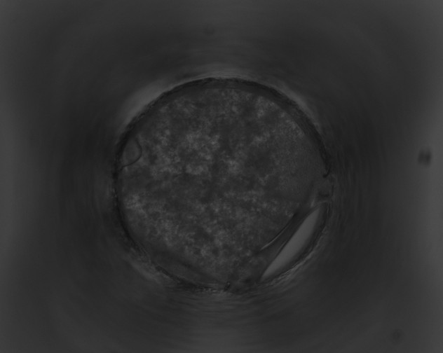 X0000091901263200710031155