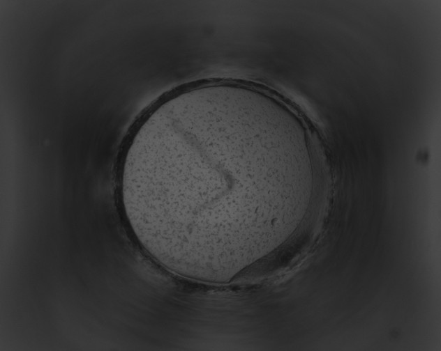 X0000091901264200710031155