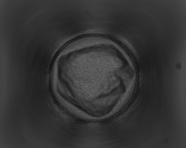 X0000091901268200710031155