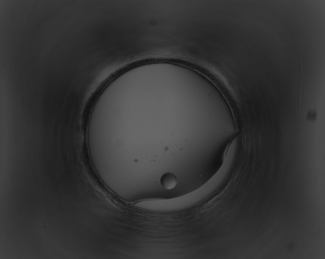 X0000091901270200710031154