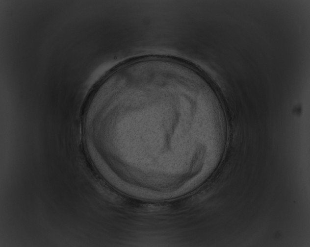 X0000091901271200710031154