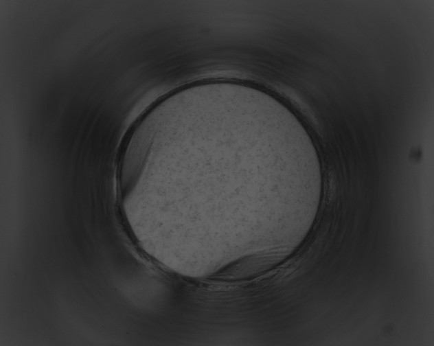 X0000091901274200710031154