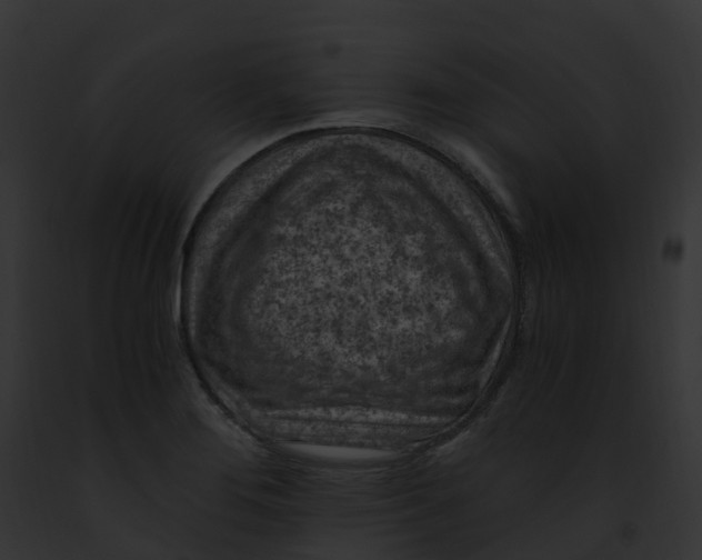 X0000091901276200710031154