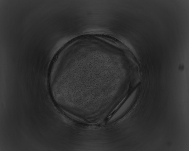 X0000091901277200710031154