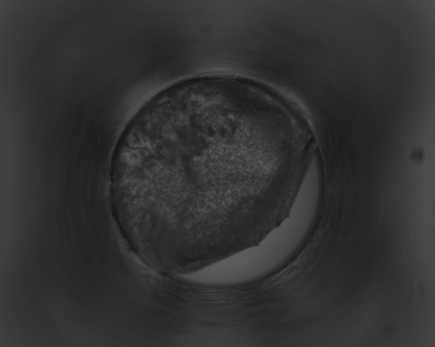 X0000091901279200710031154