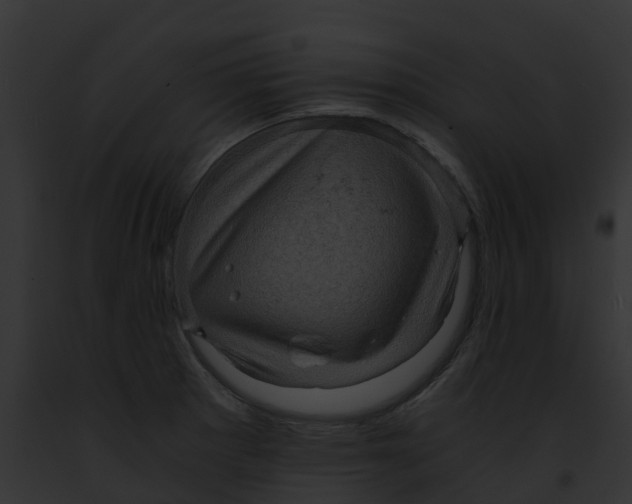 X0000091901281200710031154