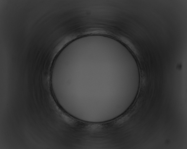 X0000091901282200710031154