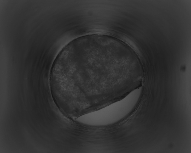 X0000091901283200710031154