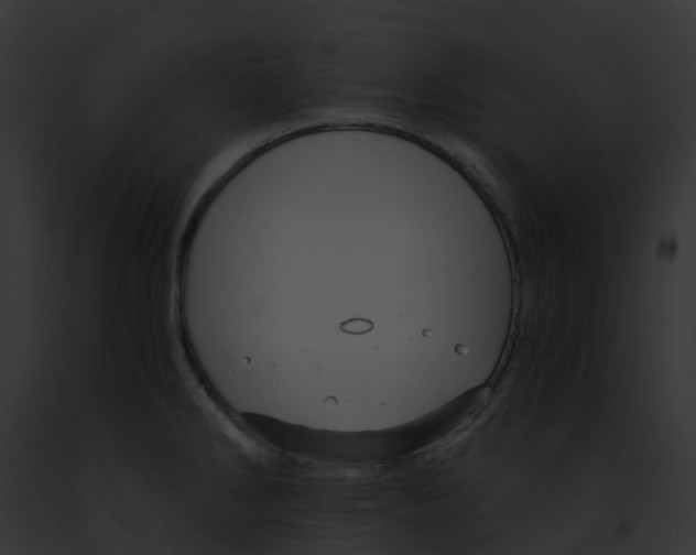 X0000091901286200710031154