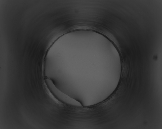 X0000091901290200710031154