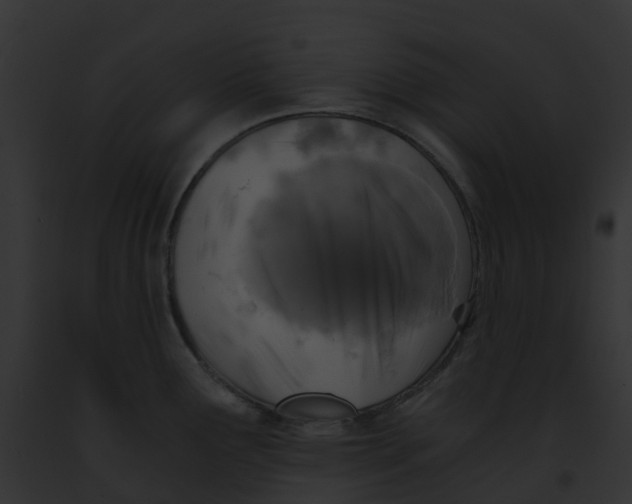 X0000091901291200710031154