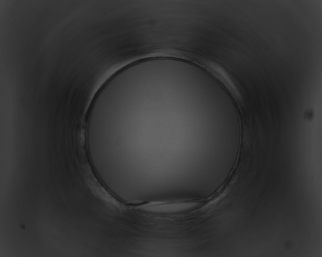 X0000091901292200710031154