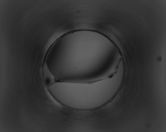 X0000091901293200710031154