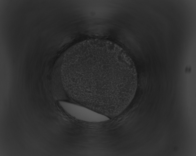 X0000091901297200710031154