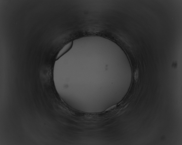 X0000091901299200710031154