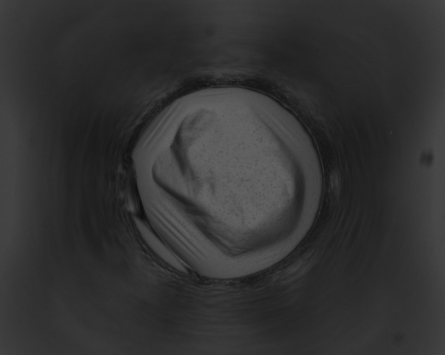 X0000091901300200710031154