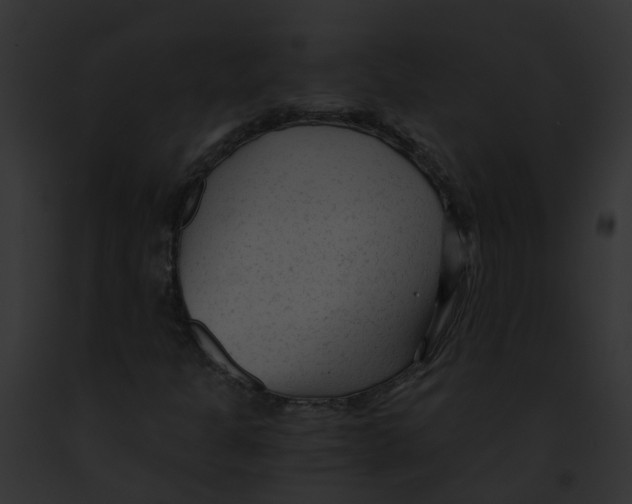 X0000091901301200710031154