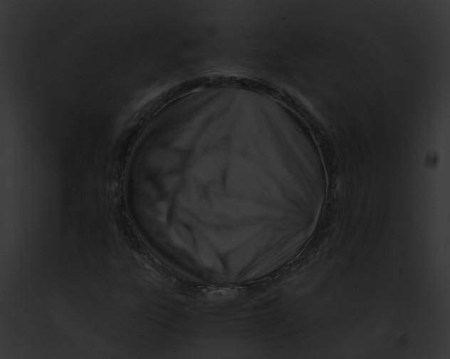 X0000091901303200710031154