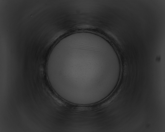 X0000091901305200710031154