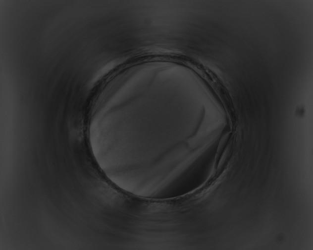 X0000091901306200710031154