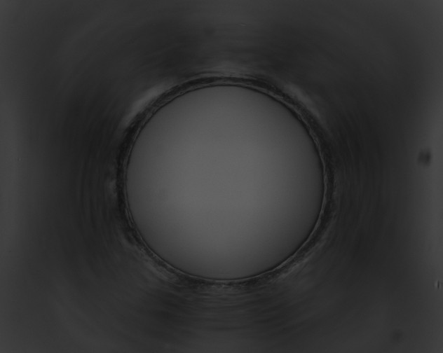 X0000091901307200710031154