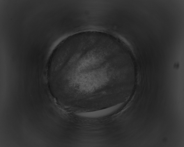 X0000091901310200710031154