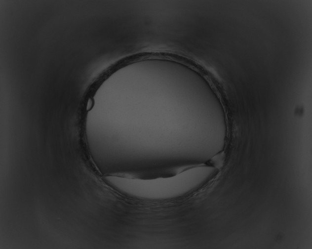 X0000091901311200710031154