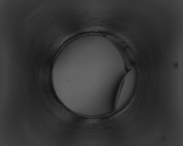 X0000091901313200710031154