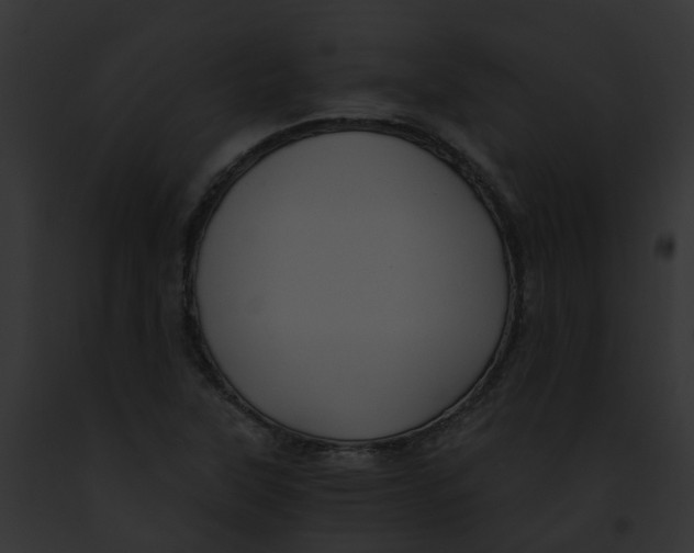 X0000091901315200710031154