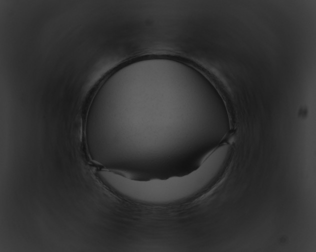 X0000091901317200710031154