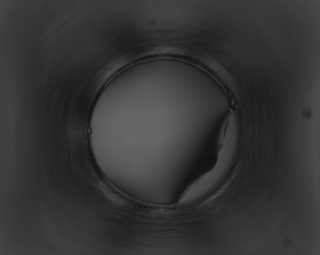 X0000091901321200710031154