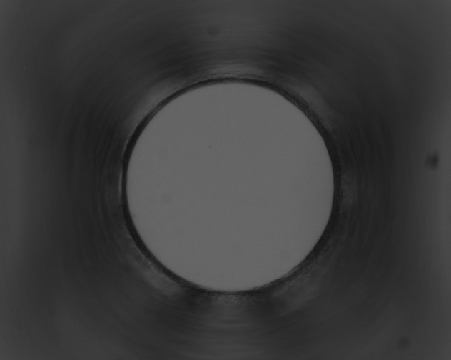 X0000091901322200710031154