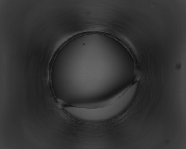 X0000091901324200710031154