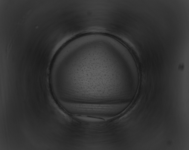 X0000091901325200710031154