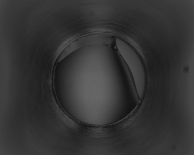 X0000091901330200710031154